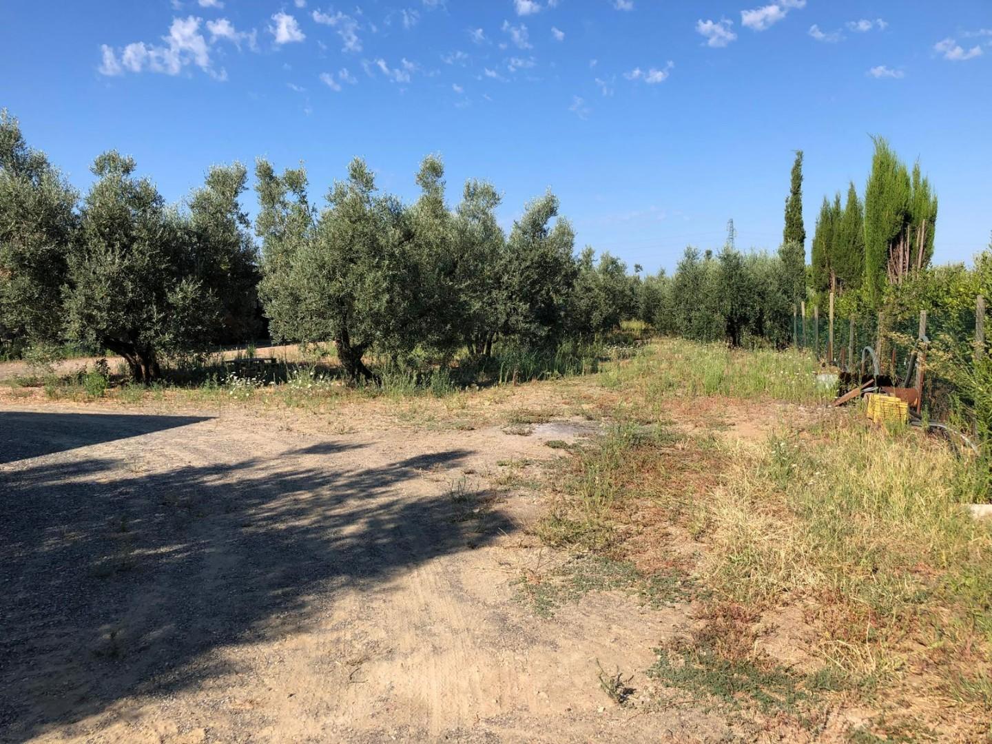 Terreno Edificabile in vendita, Cecina collemezzano alto