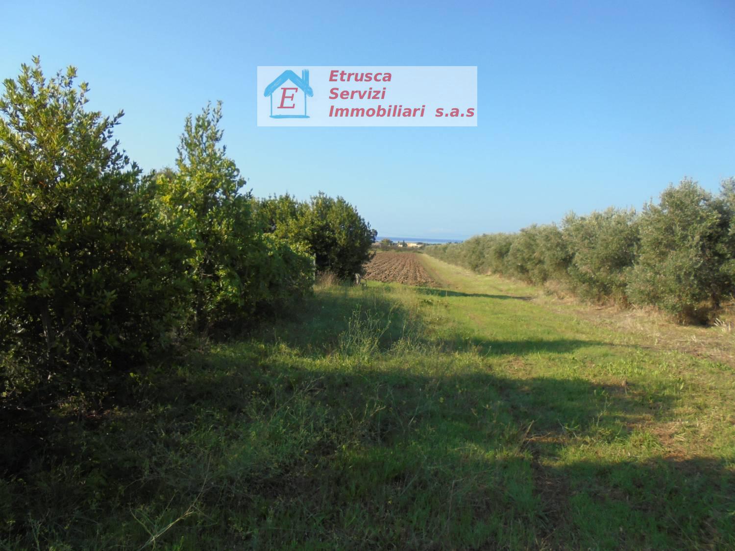 Terreno Agricolo vista mare a Piombino