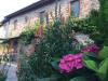 Rustico in vendita con giardino a Torrita di Siena - 04