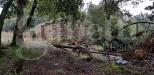 Rustico in vendita con giardino a Massa Marittima - 04, altro casalino.jpg