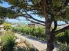Appartamento bilocale in vendita a Grottammare - 03