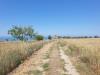 Casa indipendente in vendita da ristrutturare a Altidona - 06, Foto 6