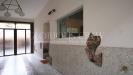 Appartamento in affitto con giardino a Milano in via carlo crivelli - 03, Foto 3