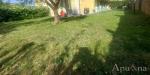 Appartamento in vendita con giardino a Massa - centro - 02