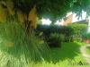 Villa in vendita con giardino a Montignoso - cinquale - 06