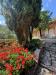 Villa in vendita con giardino a Massa - mirteto - 06