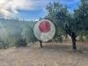Terreno Agricolo in vendita a Lanciano - 03, Foto 3