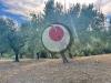 Terreno Agricolo in vendita a Lanciano - 04, Foto 4
