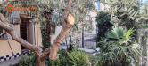 Appartamento in vendita con giardino a Monfalcone in via androna della bora 8 - 05, Foto 5