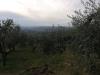 Terreno Agricolo in vendita a Cupello - 03, vista