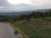 Terreno Agricolo in vendita a Cupello - 04, vista