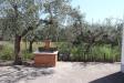Casa indipendente in vendita con giardino a Vasto in statale 16 adriatica 69 - 03, Foto 3