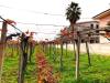 Terreno Edificabile in vendita a Vasto in dei bontempi - 03, Foto 3