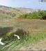 Terreno Agricolo in vendita a Cupello in c.da ramignano / strampanato - 02, Foto 3