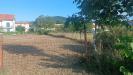 Terreno Edificabile in vendita a Palmoli in c/da fonte la casa - 06, Foto 6