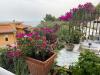 Villa in affitto a Palermo - 10, 8bb2dfc1-5be0-43fb-a3d1-63dd2dba5685.jpg