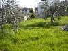 Terreno in vendita a Alba Adriatica - residenziale - 02