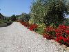 Villa in vendita con giardino a Martinsicuro in via del semaforo - 02, viale
