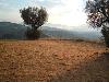 Terreno Agricolo in vendita a Controguerra in strada provinciale - 07, Foto 7