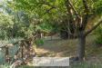 Villa in vendita con giardino a Cisano sul Neva in via crociata - 02, Foto 2