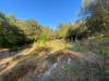 Terreno Agricolo in vendita a Albenga in san fedele - 07, Foto 7