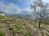 Terreno Agricolo in vendita a Caravonica in strada provinciale 28 - 10, Foto 10