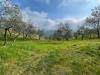Terreno Agricolo in vendita a Caravonica in strada provinciale 28 - 05, Foto 5