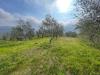 Terreno Agricolo in vendita a Caravonica in strada provinciale 28 - 07, Foto 7