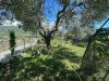 Terreno Agricolo in vendita a Albenga in via del morteo - 03, Foto 3