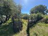 Terreno Agricolo in vendita a Albenga in via del morteo - 05, Foto 5