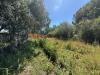 Terreno Agricolo in vendita a Albenga in via del morteo - 06, Foto 6