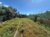 Terreno Agricolo in vendita a Albenga in via del morteo - 08, Foto 8