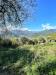 Casa indipendente in vendita a Pieve di Teco - 04, Foto 4