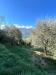 Casa indipendente in vendita a Pieve di Teco - 05, Foto 5