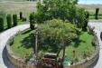 Rustico in vendita con giardino a Castiglione del Lago - 06