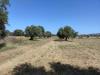 Terreno Agricolo in vendita a San Vincenzo - 03