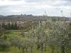 Terreno Agricolo in vendita a Capannori - san leonardo in treponzio - 03