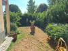 Appartamento in vendita con giardino a Capannori - 04