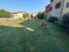 Casa indipendente in vendita con giardino a Capannori - carraia - 02