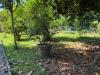 Casa indipendente in vendita con giardino a Capannori - lunata - 04