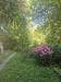 Villa in vendita con giardino a Marliana - femminamorta - 03