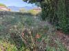 Casa indipendente in vendita con giardino a Capannori - camigliano - 05