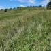 Terreno Agricolo in vendita a Morlupo in via delle grotte 2920 - 04, terreno l3.jpg