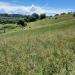 Terreno Agricolo in vendita a Morlupo in via delle grotte 2920 - 05, terreno l4.jpg