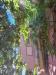 Villa in vendita con giardino a Morlupo in via giotto 9 - 03, 20250911_154608.jpg