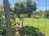 Terreno Agricolo in vendita a Cascina - navacchio - 06