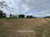 Terreno Agricolo in vendita a Morrovalle in via michelangelo 180 - 07, Foto 7