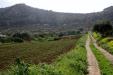 Terreno in vendita a Ustica in contrada tramontana 0 - 02