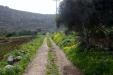 Terreno in vendita a Ustica in contrada tramontana 0 - 03