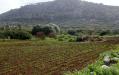 Terreno in vendita a Ustica in contrada tramontana 0 - 04